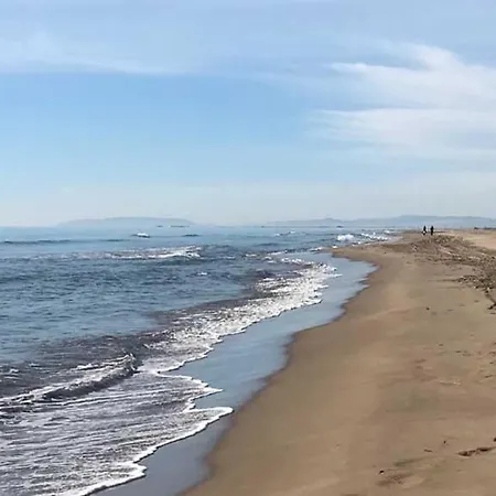Arte Y Natura En La Playa De Eucaliptus
